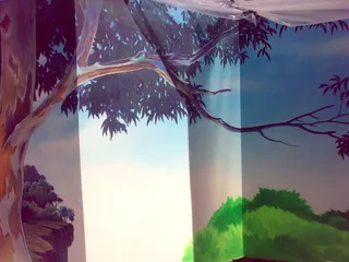 Kindy kids sydney - tree canopy progress 2