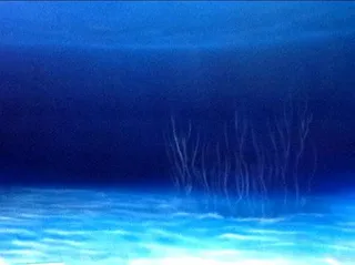 Lets play - ocean bed progress
