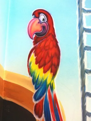Lets play - pirate parrot